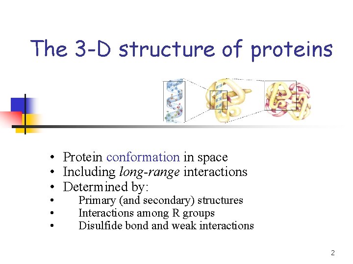 The 3 -D structure of proteins • Protein conformation in space • Including long-range