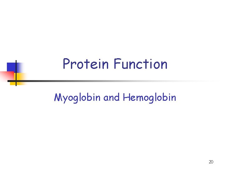 Protein Function Myoglobin and Hemoglobin 20 