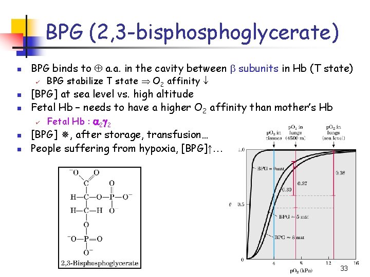 BPG (2, 3 -bisphoglycerate) n BPG binds to a. a. in the cavity between
