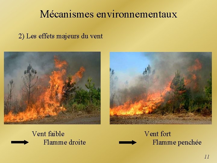 Mécanismes environnementaux 2) Les effets majeurs du vent Vent faible Flamme droite Vent fort