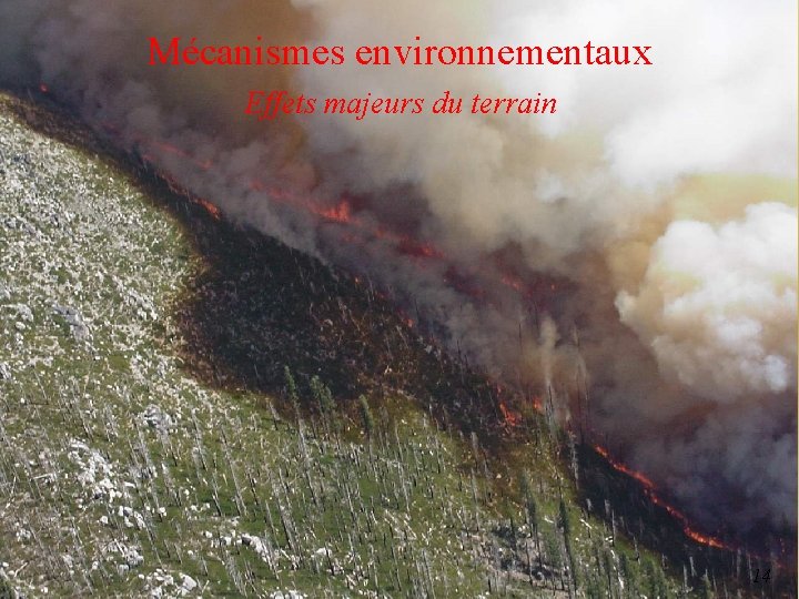 Mécanismes environnementaux Effets majeurs du terrain 14 