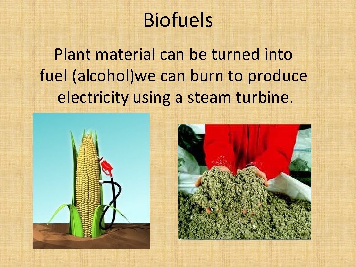 Biofuels Plant material can be turned into fuel (alcohol)we can burn to produce electricity