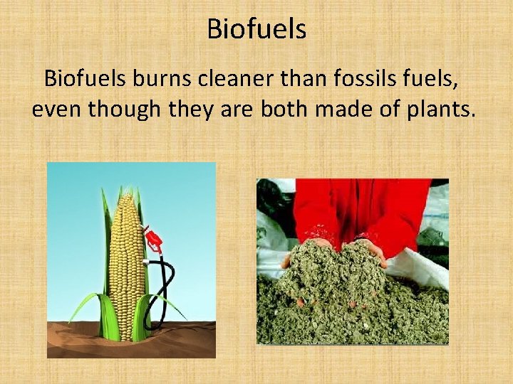 Biofuels burns cleaner than fossils fuels, even though they are both made of plants.