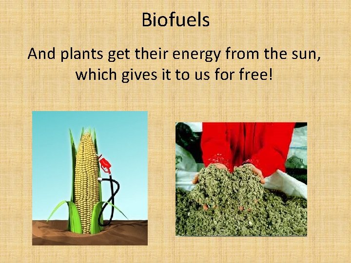 Biofuels And plants get their energy from the sun, which gives it to us