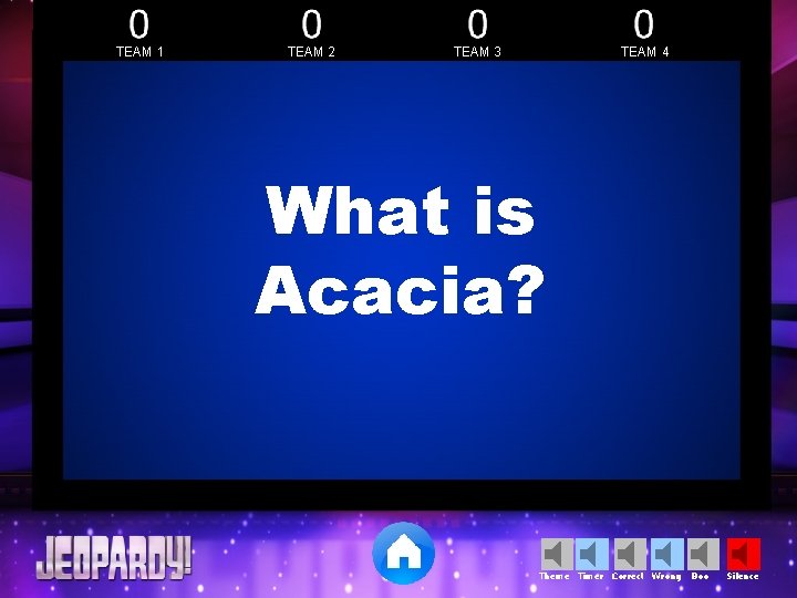 TEAM 1 TEAM 2 TEAM 3 TEAM 4 What is Acacia? Theme Timer Correct