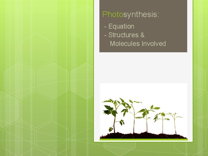 Photosynthesis: - Equation - Structures & Molecules Involved 