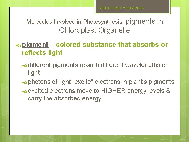 Cellular Energy: Photosynthesis Molecules Involved in Photosynthesis: pigments in Chloroplast Organelle pigment – colored