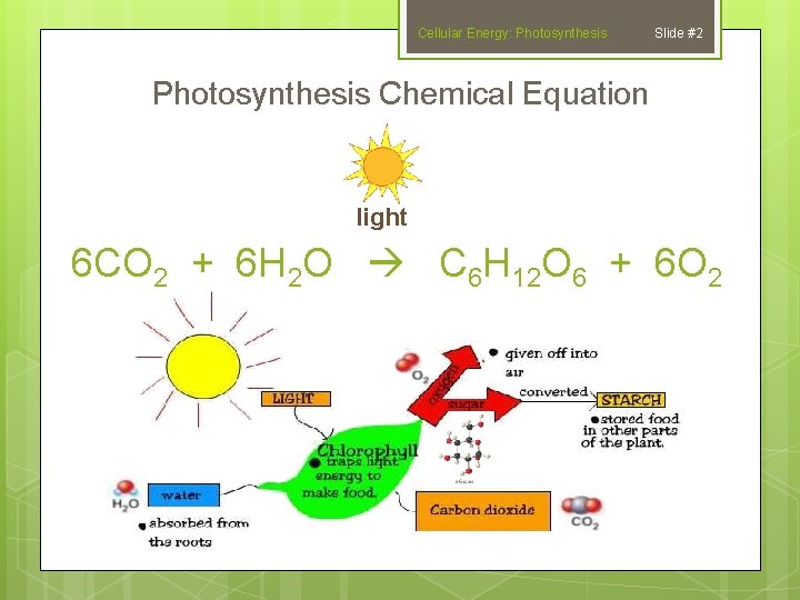 Cellular Energy: Photosynthesis Slide #2 Photosynthesis Chemical Equation light 6 CO 2 + 6