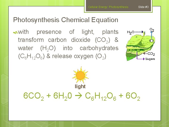Cellular Energy: Photosynthesis Slide #3 Photosynthesis Chemical Equation with presence of light, plants transform