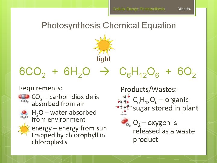 Cellular Energy: Photosynthesis Slide #4 Photosynthesis Chemical Equation light 6 CO 2 + 6