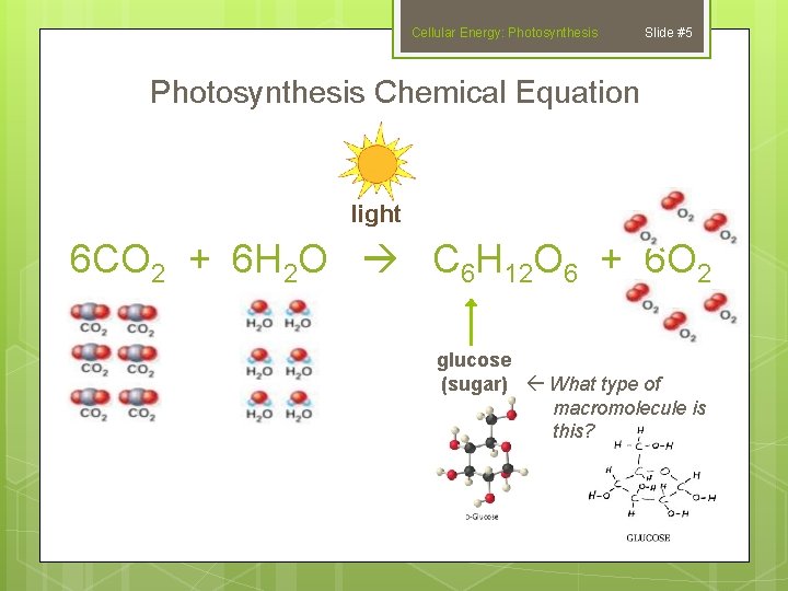 Cellular Energy: Photosynthesis Slide #5 Photosynthesis Chemical Equation light 6 CO 2 + 6