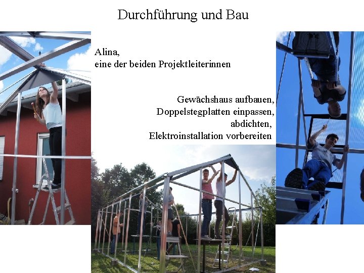 Durchführung und Bau Alina, eine der beiden Projektleiterinnen Gewächshaus aufbauen, Doppelstegplatten einpassen, abdichten, Elektroinstallation