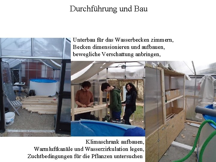 Durchführung und Bau Unterbau für das Wasserbecken zimmern, Becken dimensionieren und aufbauen, bewegliche Verschattung