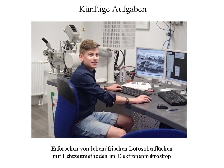 Künftige Aufgaben Erforschen von lebendfrischen Lotosoberflächen mit Echtzeitmethoden im Elektronenmikroskop 