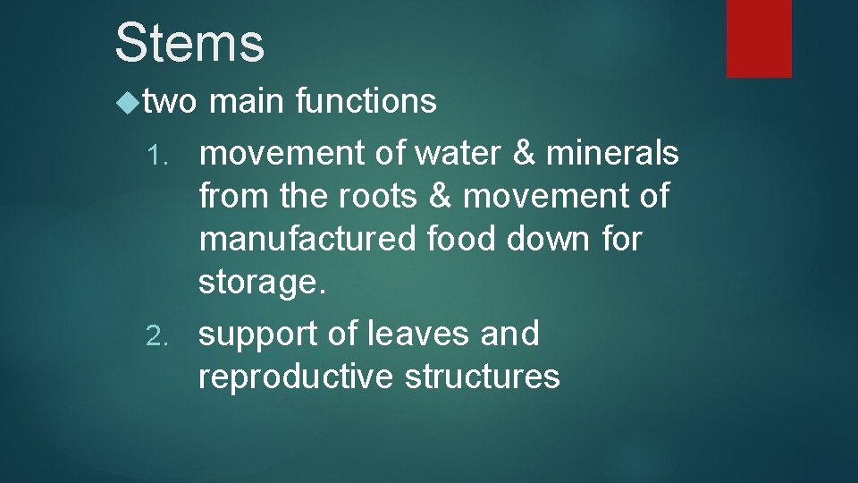 Stems two main functions 1. movement of water & minerals from the roots &