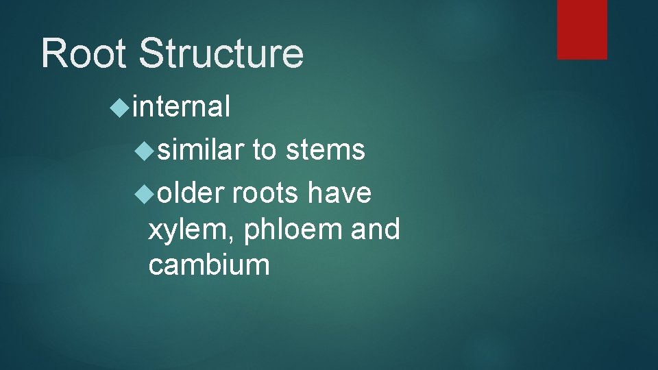 Root Structure internal similar to stems older roots have xylem, phloem and cambium 
