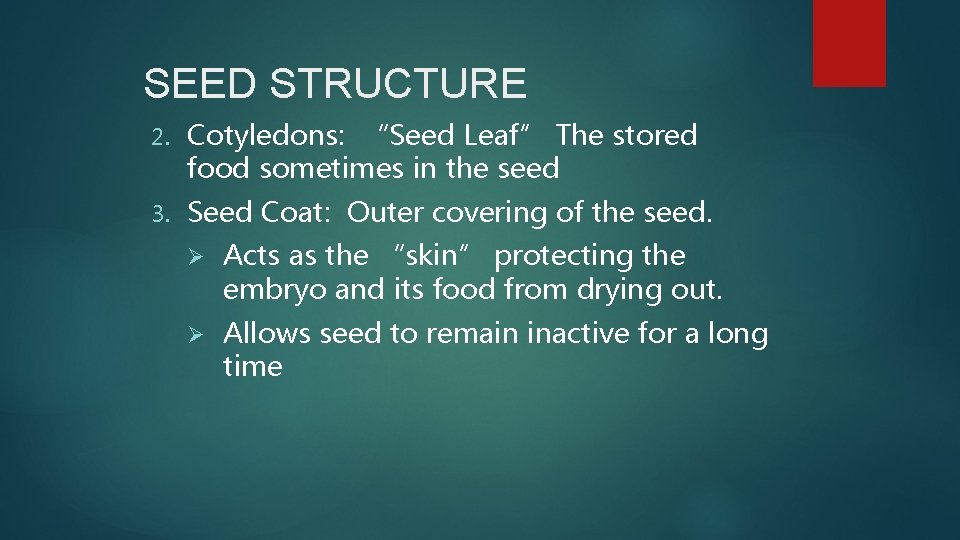 SEED STRUCTURE 2. Cotyledons: “Seed Leaf” The stored food sometimes in the seed 3.
