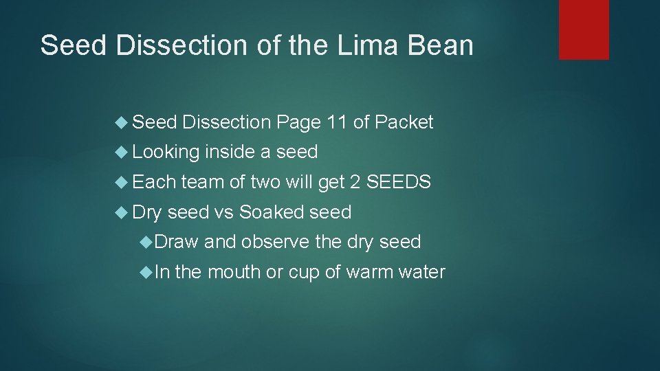 Seed Dissection of the Lima Bean Seed Dissection Page 11 of Packet Looking Each