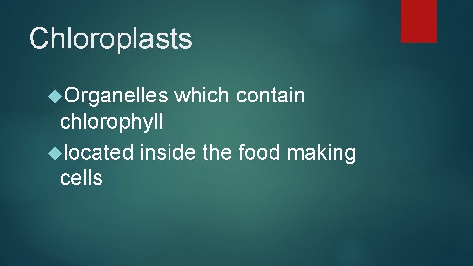 Chloroplasts Organelles which contain chlorophyll located inside the food making cells 