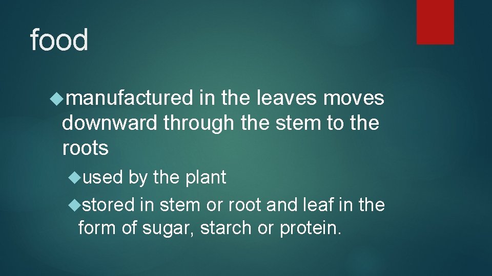 food manufactured in the leaves moves downward through the stem to the roots used