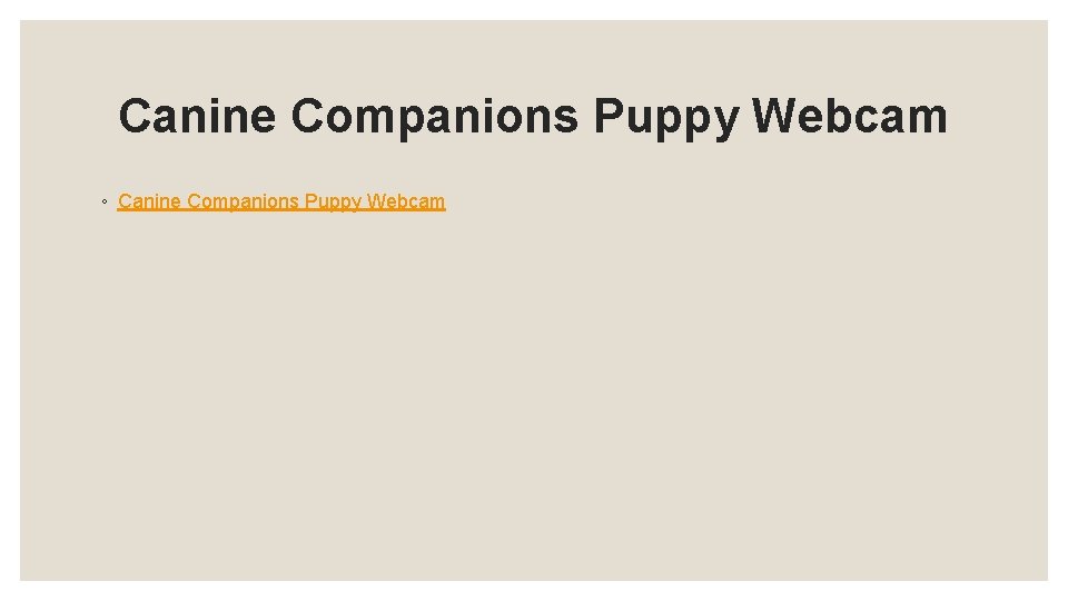 Canine Companions Puppy Webcam ◦ Canine Companions Puppy Webcam 