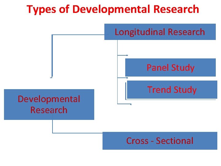 Types of Developmental Research Longitudinal Research Panel Study Developmental Research Trend Study Cohort Cross