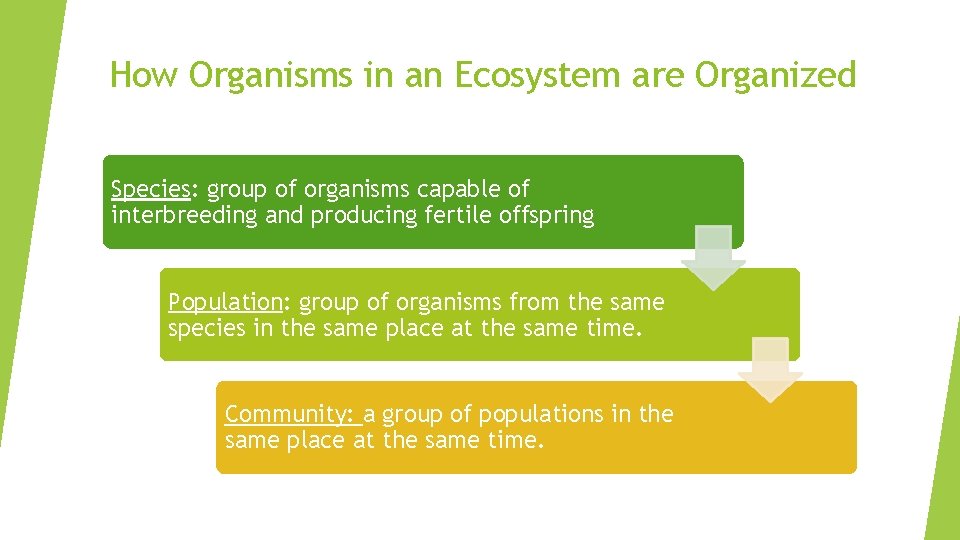 How Organisms in an Ecosystem are Organized Species: group of organisms capable of interbreeding