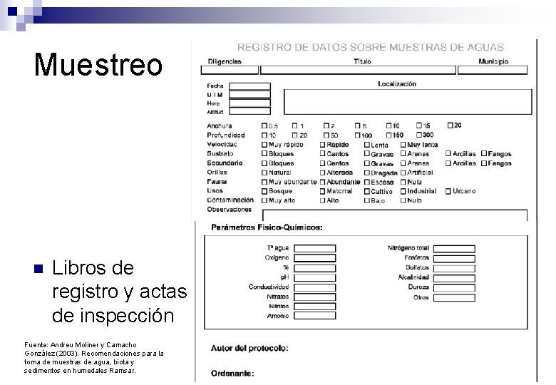 Muestreo n Libros de registro y actas de inspección Fuente: Andreu Moliner y Camacho