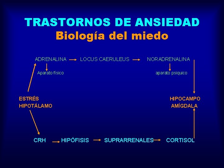 TRASTORNOS DE ANSIEDAD Biología del miedo ADRENALINA LOCUS CAERULEUS NORADRENALINA Aparato físico aparato psiquico