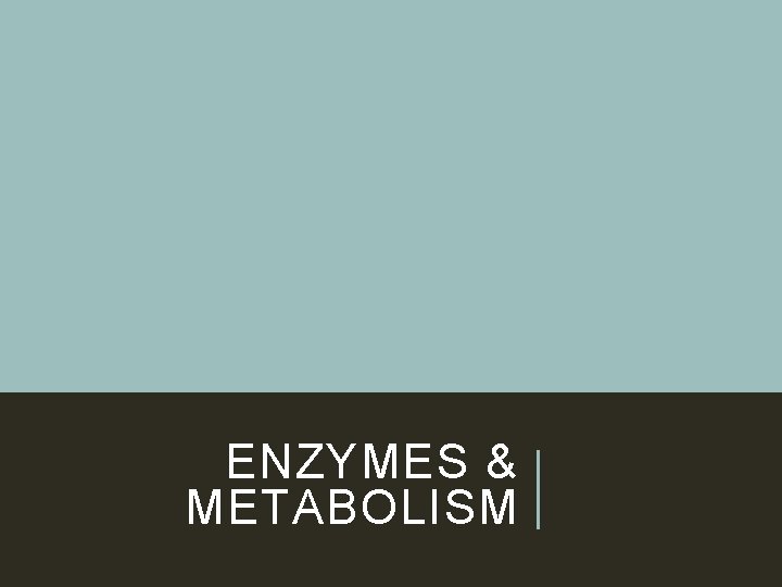 ENZYMES & METABOLISM 