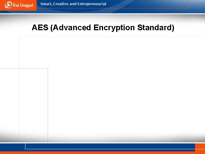 AES (Advanced Encryption Standard) 