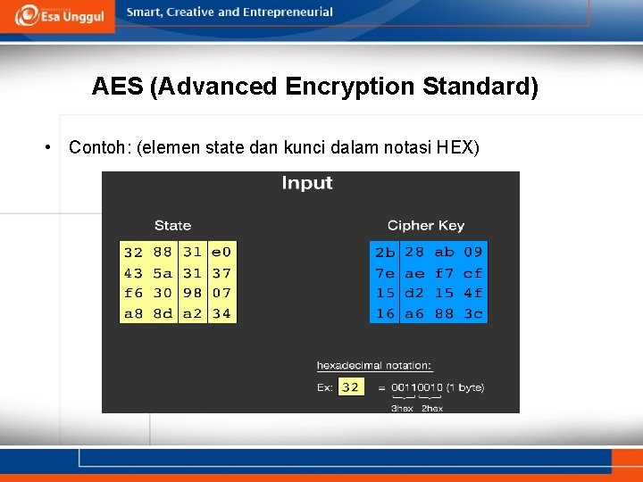 AES (Advanced Encryption Standard) • Contoh: (elemen state dan kunci dalam notasi HEX) 