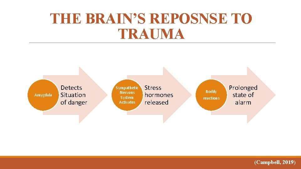 THE BRAIN’S REPOSNSE TO TRAUMA Amygdala Detects Situation of danger Sympathetic Nervous System Activates THE BRAIN’S REPOSNSE TO TRAUMA Amygdala Detects Situation of danger Sympathetic Nervous System Activates