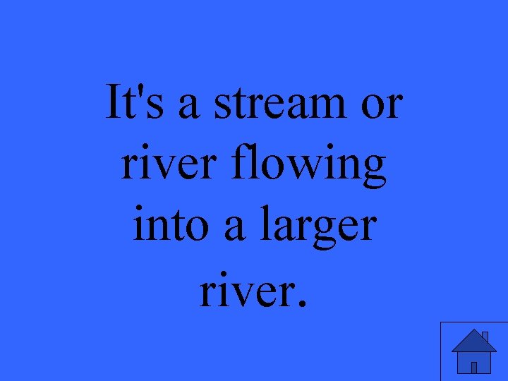 It's a stream or river flowing into a larger river. 