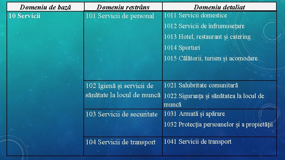 Domeniu de bază 10 Servicii Domeniu restrâns 101 Servicii de personal Domeniu detaliat 1011