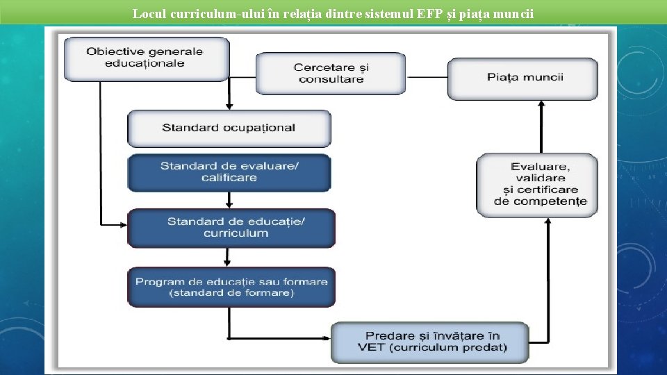 Locul curriculum-ului în relația dintre sistemul EFP și piața muncii 