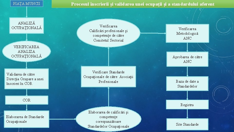 PIAȚA MUNCII ANALIZĂ OCUPAȚIONALĂ Procesul înscrierii și validarea unei ocupații și a standardului aferent