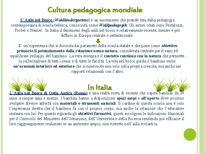 Cultura pedagogica mondiale L’Asilo nel Bosco (Waldkindergartens) è un movimento che prende vita dalla