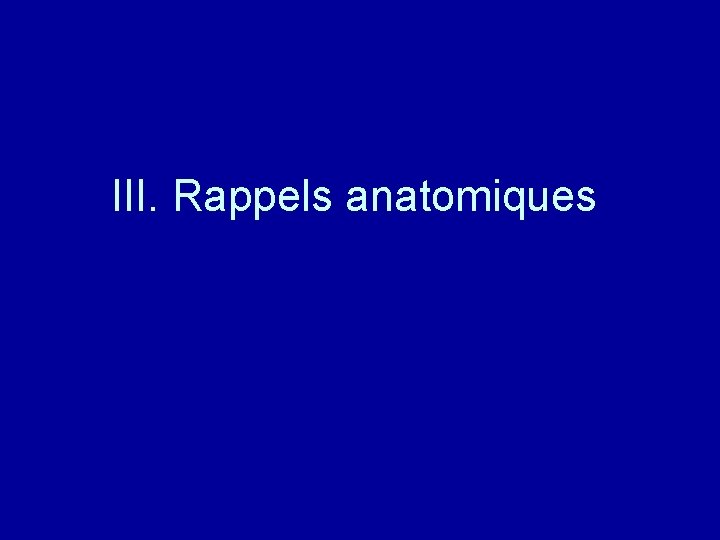 III. Rappels anatomiques 