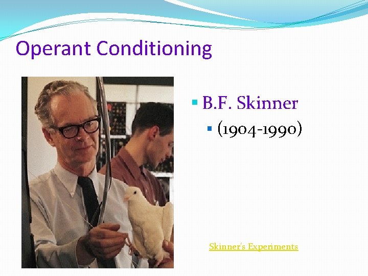 Operant Conditioning § B. F. Skinner § (1904 -1990) Skinner's Experiments 