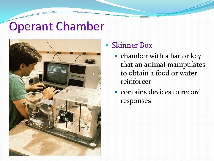 Operant Chamber § Skinner Box § chamber with a bar or key that an
