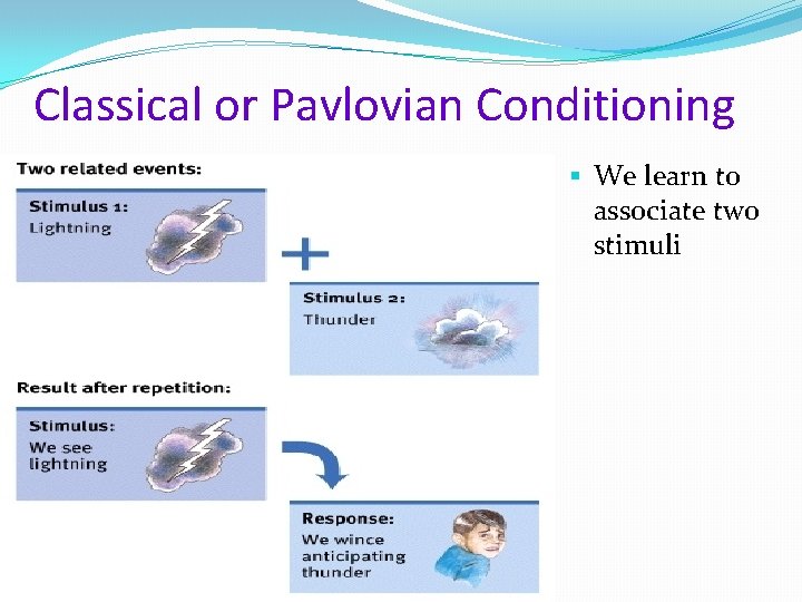 Classical or Pavlovian Conditioning § We learn to associate two stimuli 
