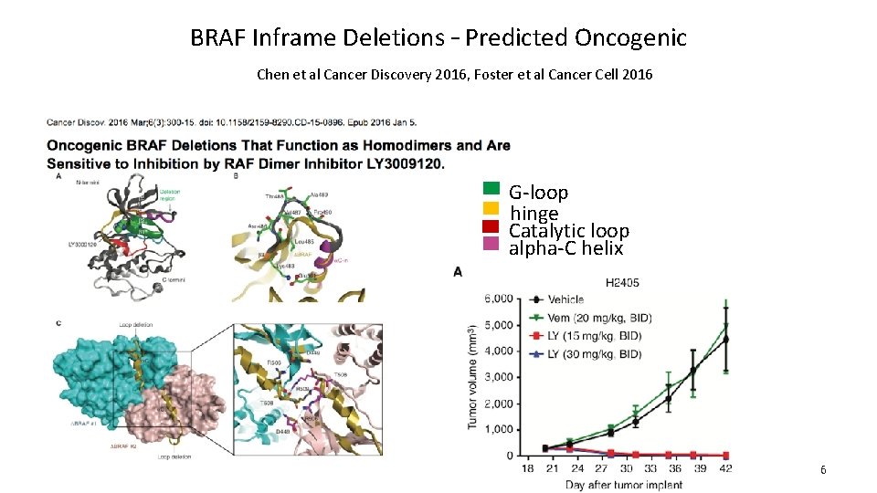 BRAF Inframe Deletions – Predicted Oncogenic Chen et al Cancer Discovery 2016, Foster et