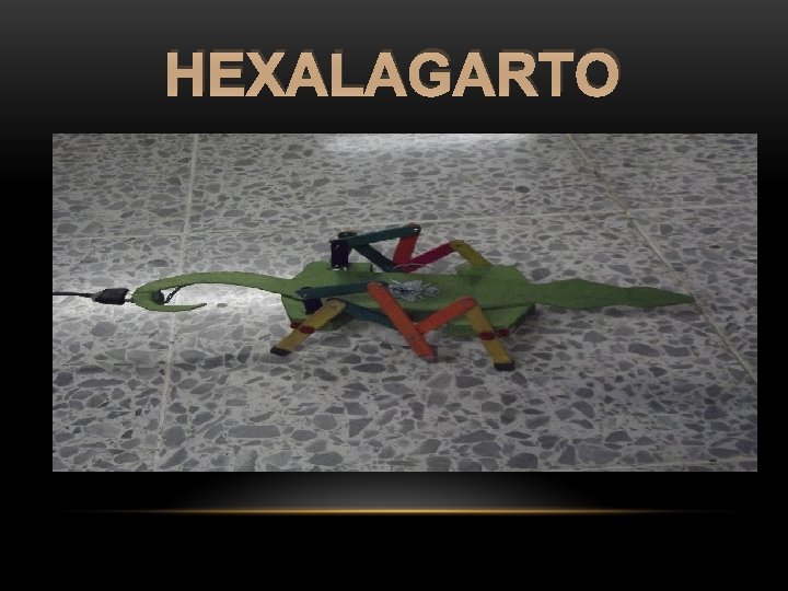 HEXALAGARTO 