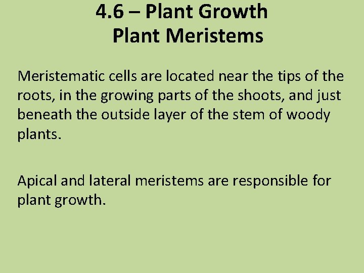 4. 6 – Plant Growth Plant Meristems Meristematic cells are located near the tips