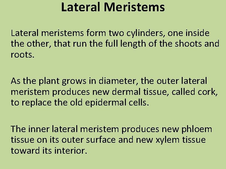 Lateral Meristems Lateral meristems form two cylinders, one inside the other, that run the