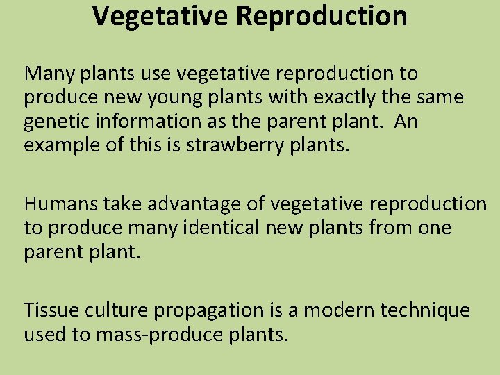 Vegetative Reproduction Many plants use vegetative reproduction to produce new young plants with exactly