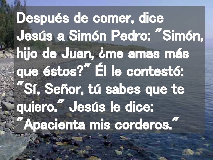 Después de comer, dice Jesús a Simón Pedro: "Simón, hijo de Juan, ¿me amas