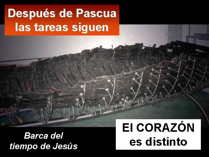 Después de Pascua las tareas siguen Barca del tiempo de Jesús El CORAZÓN es