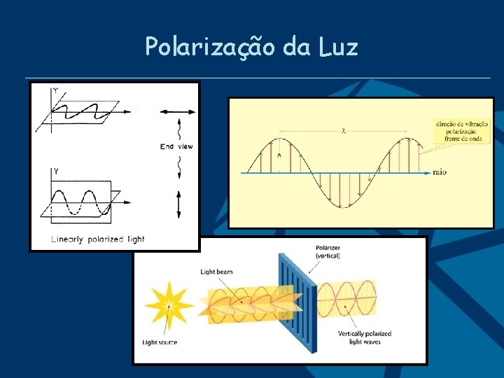 Polarização da Luz Departamento de Petrologia e Metalogenia 